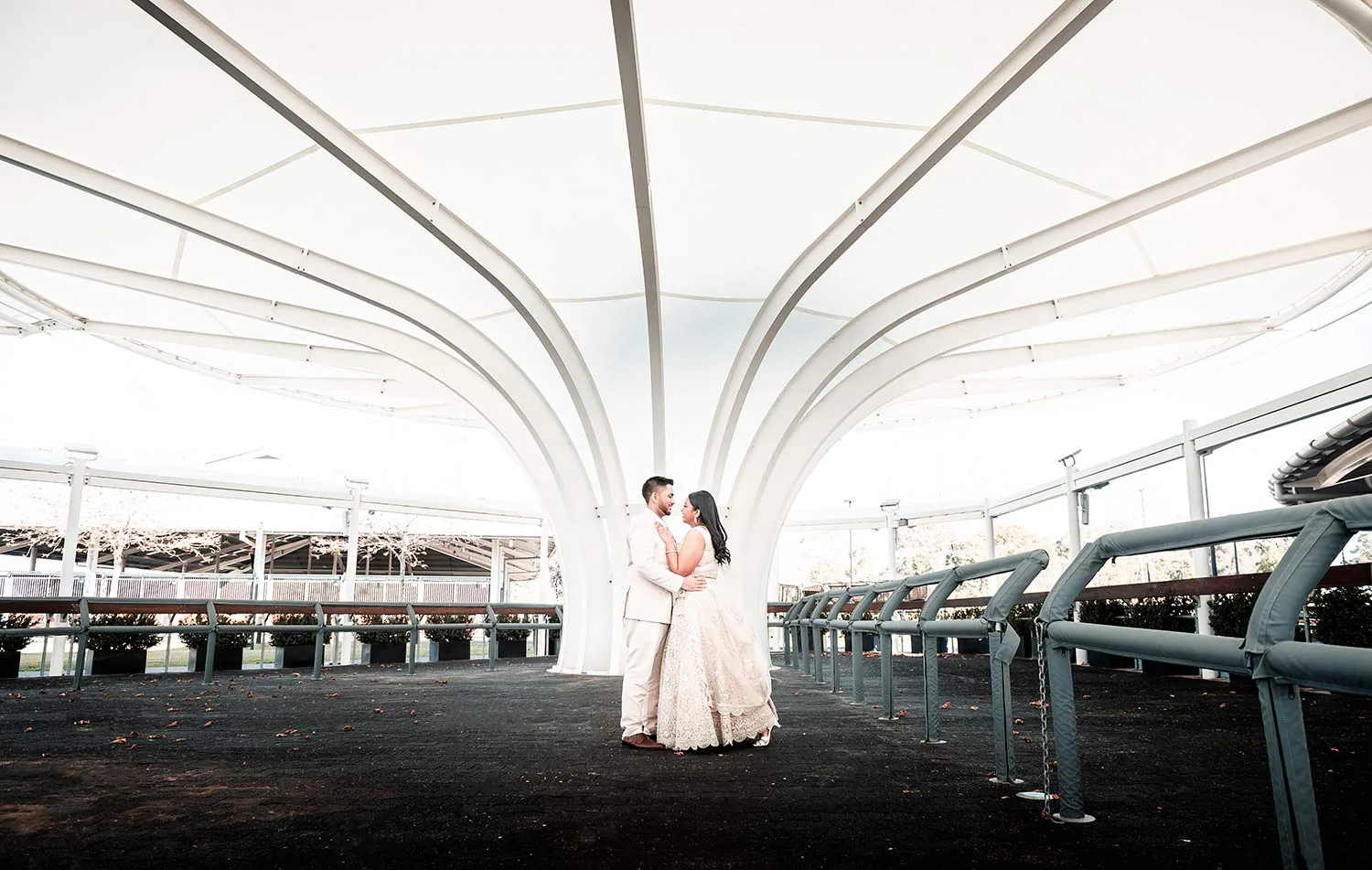 Wedding photograph